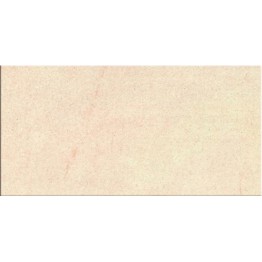 Gạch ốp tường Trường Thịnh COOLSTONE C36105